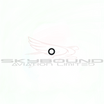 AT163 - O-ring viton 9,92 x 2,62 mm